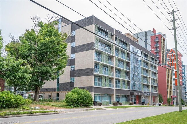 Building Photo - 250 Albert St Unit 318