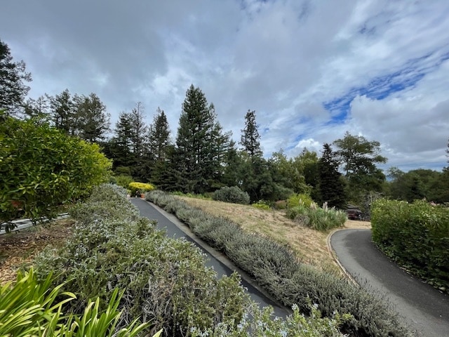 View from Front Porch