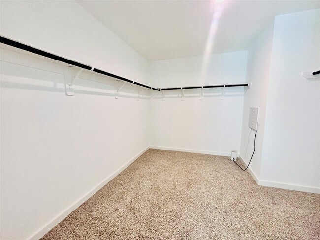 Photo - 1119 Fringed Bluestar Dr