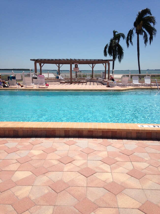 Breathtaking view from the pool - 6219 Palma Del Mar Blvd S Condo Unit 307