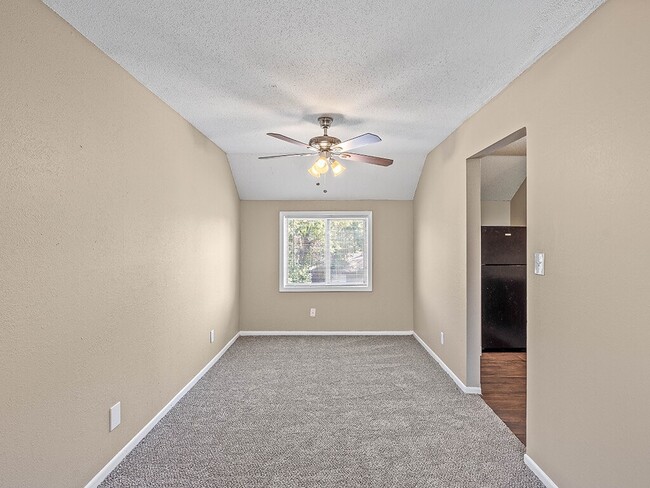 Windows to Bring in Natural Light