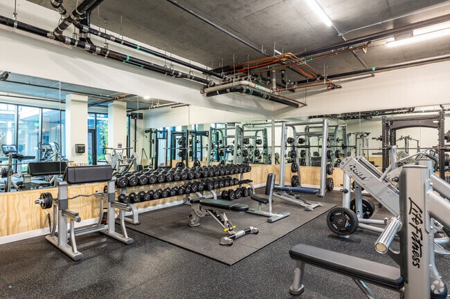 Gimnasio