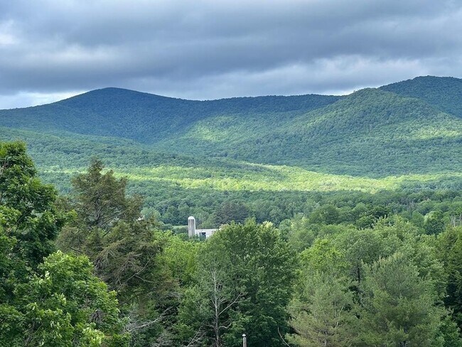 Photo - 3791 Dorset West Rd