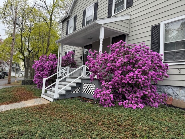 Photo - 135 Lynde St Unit 1