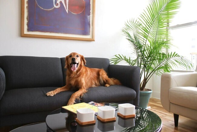 Photo - Artisan Hill