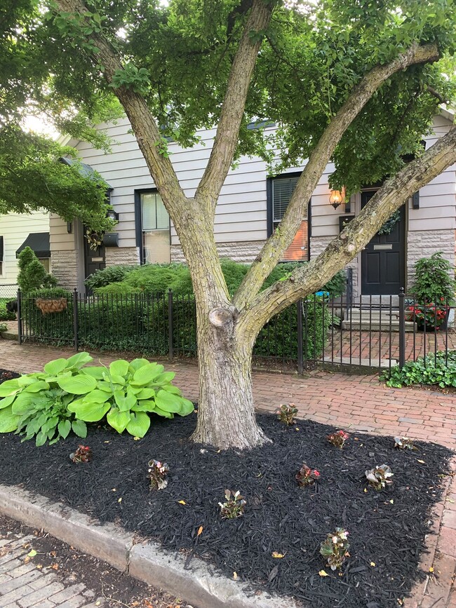A brick path leads to this welcoming entrance.