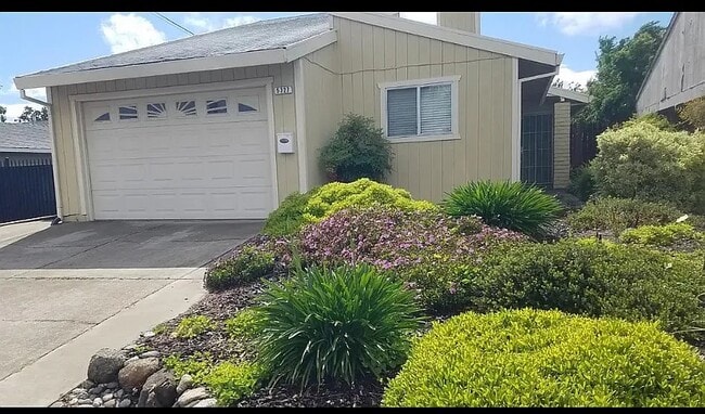 Photo - 5327 Hillsdale Blvd