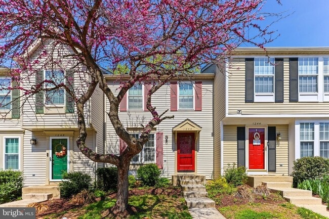 Photo - 1246 Seminole Dr