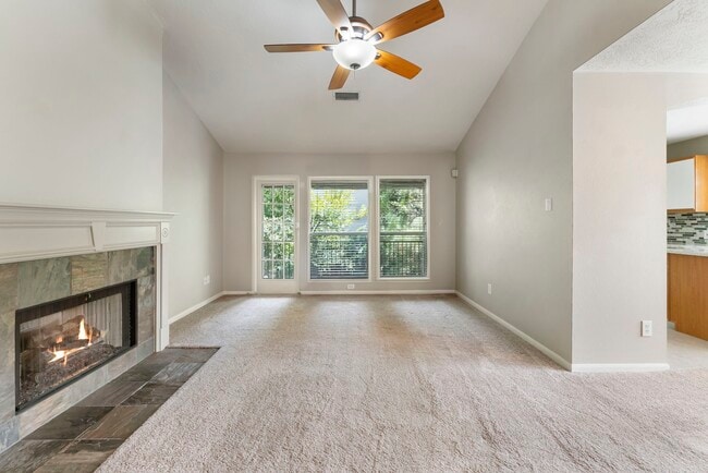 Photo - 17 N Spiral Vine Cir