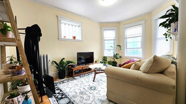 Building Photo - 6 Newton St Unit 2 Rental