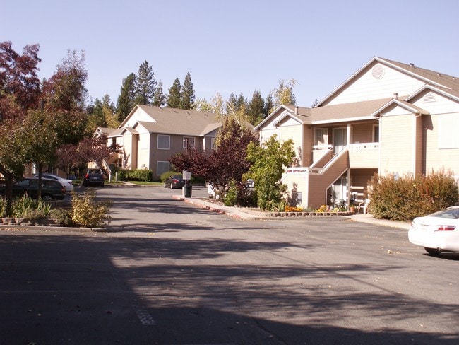 Olympia Garden Apartments - Olympia Garden Apartments