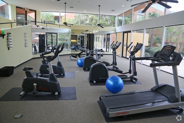 Gimnasio