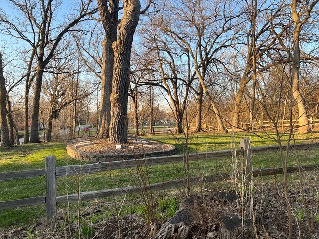 North facing view of rear yard. - 1005 Algonquin Road