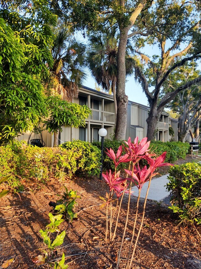 Building Photo - 2208 Bahia Vista St Rental