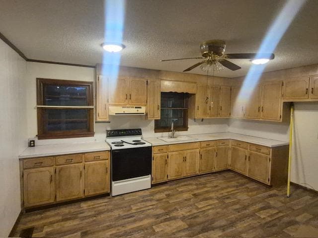 8061 Young Rd