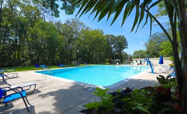 Swimming Pool - Flora Park