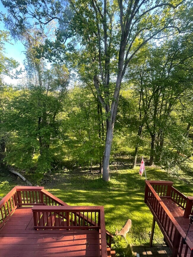 52 Black Oak Court Townhome Townhome Rental in Reisterstown MD