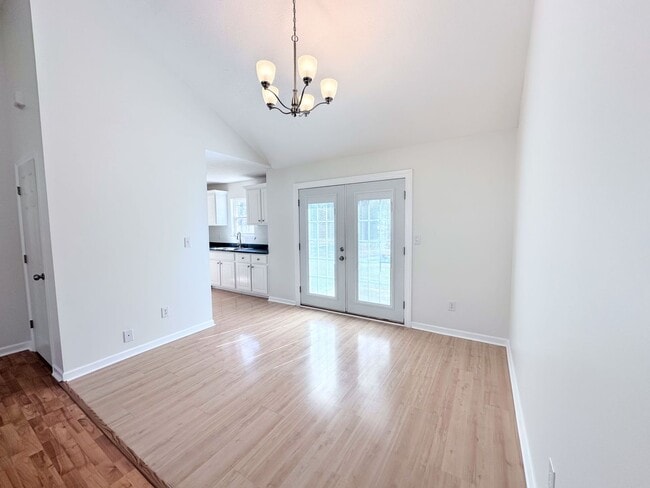 Photo - Branching Out in Laurel Oaks