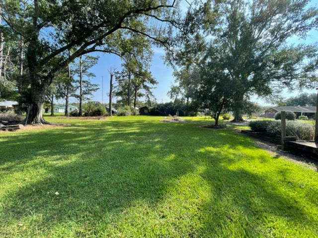 Photo - 133 Dalton Ln