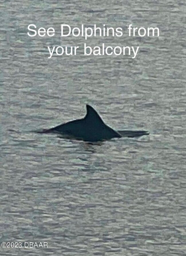 Photo - 2711 N Halifax Ave Unit 464