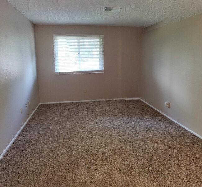 Master bedroom. New paint and carpet! - 331 Sundance Cir N