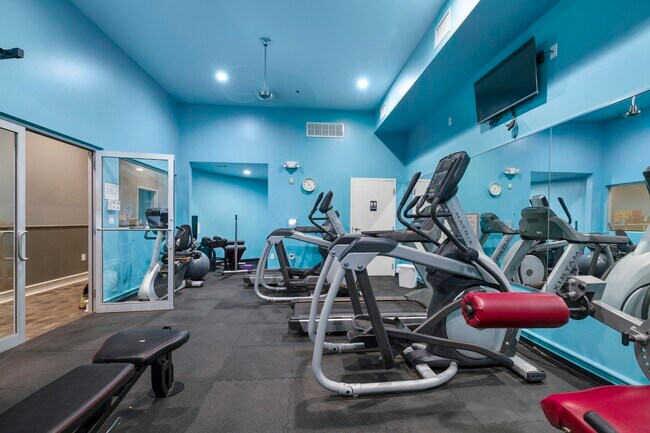 3311 Yupon St Unit 317