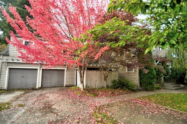 Photo - Charming 1-Bedroom Unit in Eastside Olympia