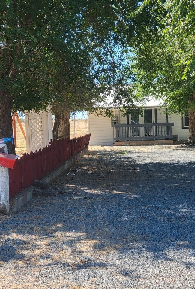 Photo - 1 bedroom 1 bath