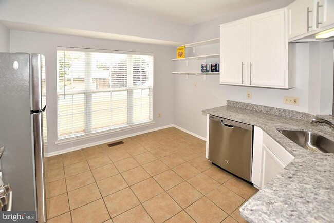 Photo - 20428 Cool Fern Square