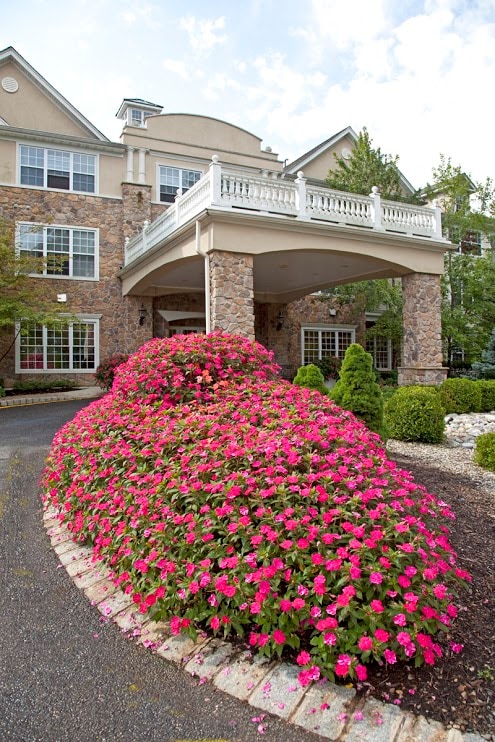 Primrose Place