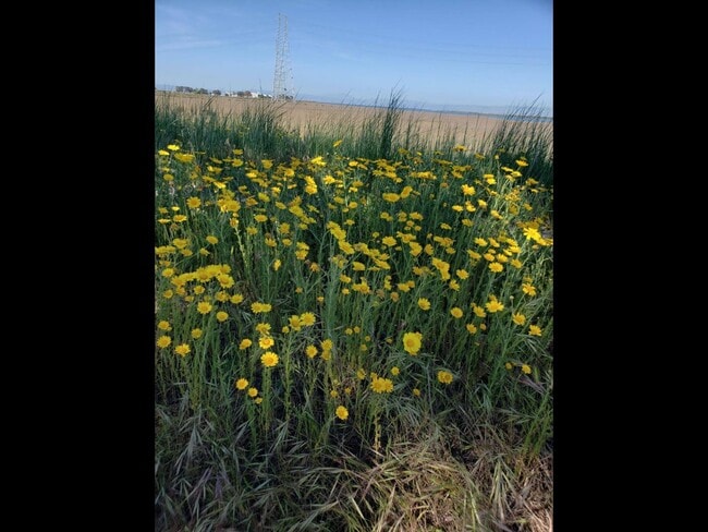 Photo - 6 Dockside Cir