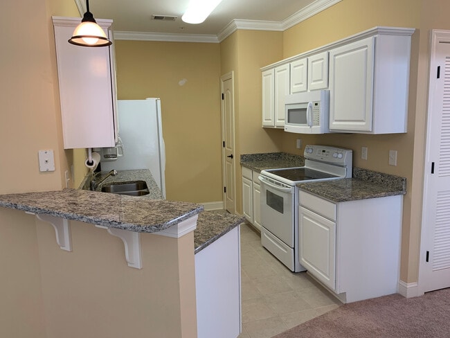 Photo - 101 Ella Kinley Cir Unidad 401