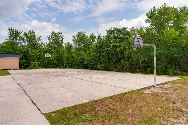 Basketball Court - Fox Hollow