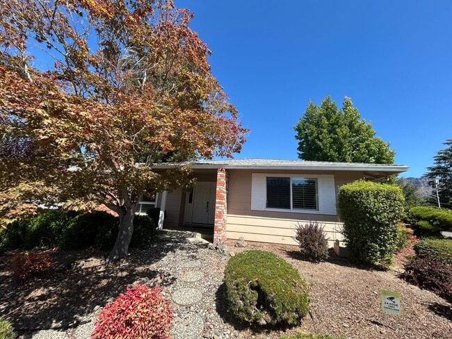 Photo - 245 Mockingbird Cir