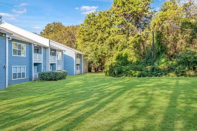 Photo - The Jade Charlotte