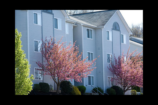 5500 The Harrison - 5500 The Harrison Apartments