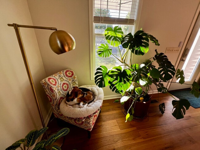 Photo - 1517 Seigle Ave