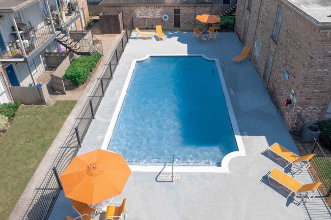 Photo - La Primavera