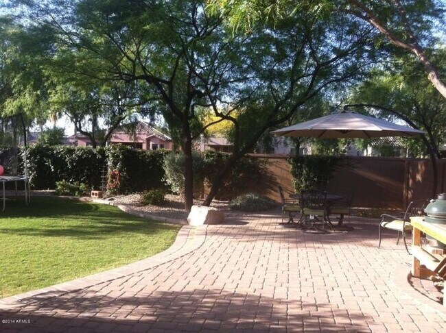 Photo - Chandler beauty!