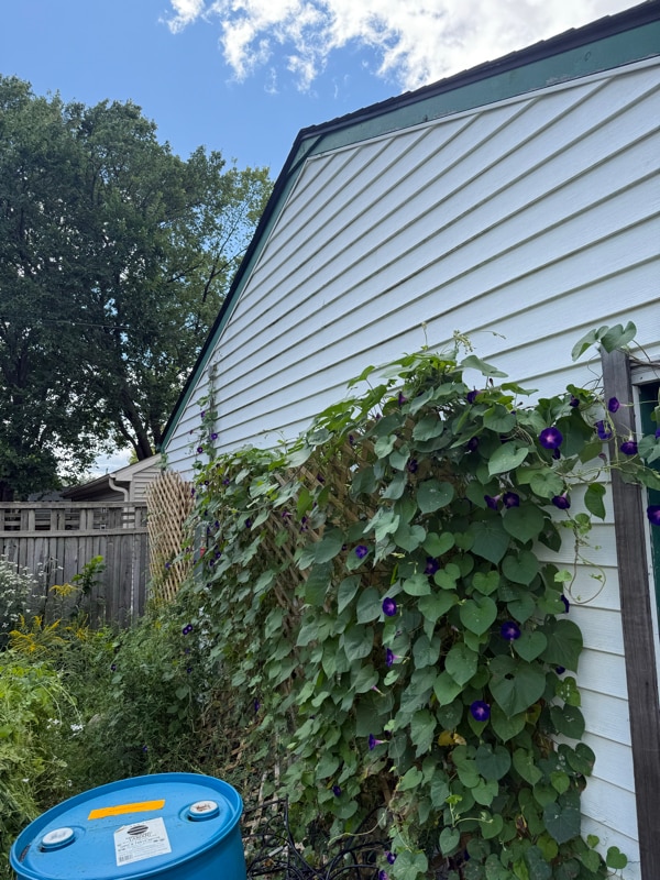 Photo - 2334 Brewster St