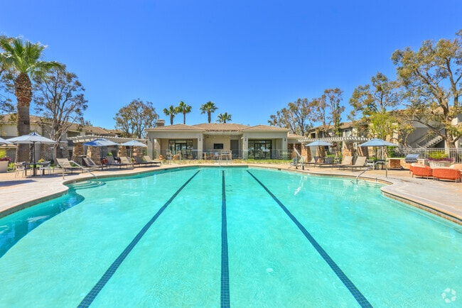 Pool - Camino Real Apartments