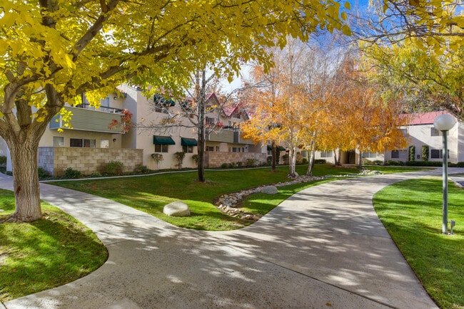Community Walk Paths