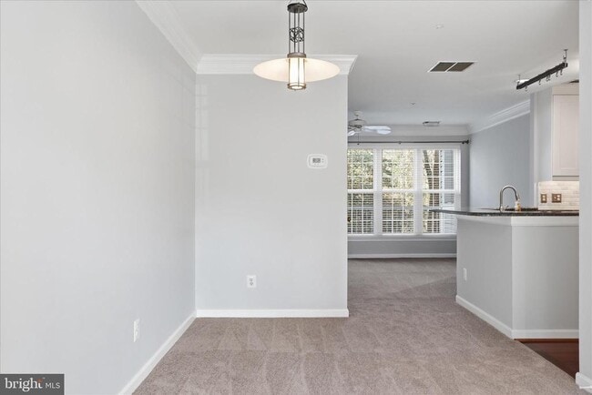 Photo - 5916 Terrapin Pl