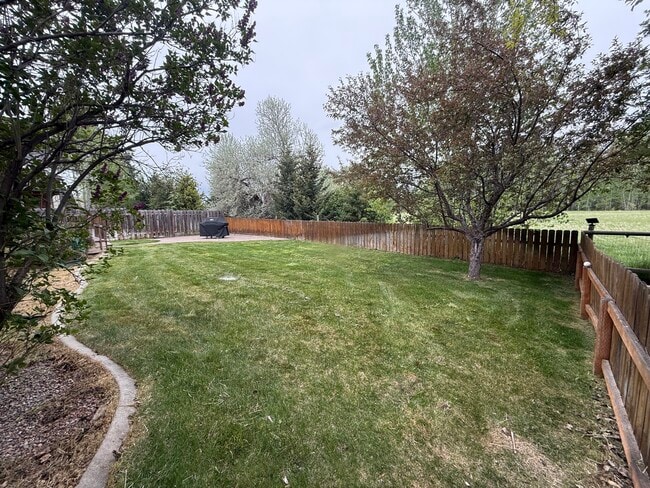 Photo - 983 New Holland Dr