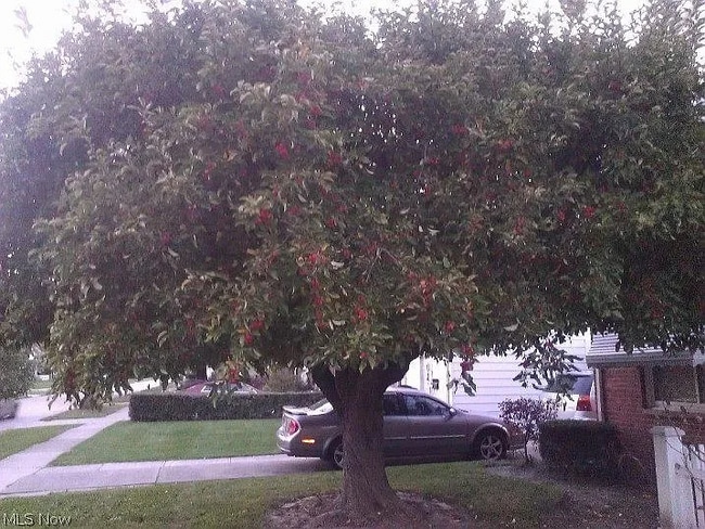 Photo - 20801 Crystal Ave