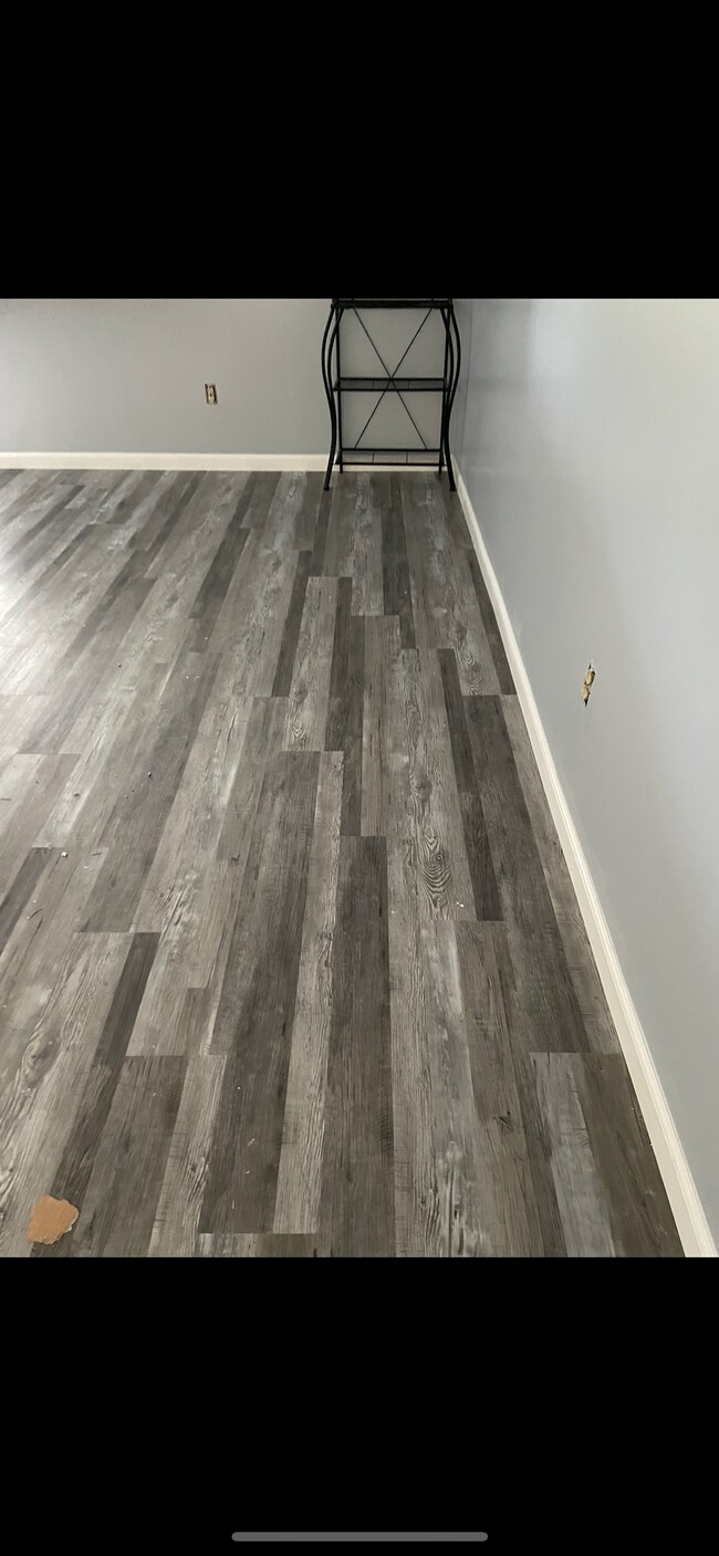 New floor and wall color - 1515 Bayshore Blvd Unit 11
