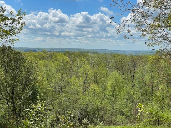 Photo - 170 Rabbit Hill Rd