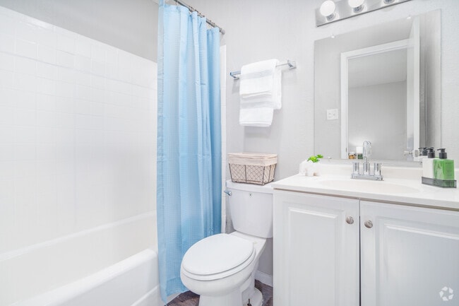 1 habitación, 1 baño - 578 pies cuadrados - Baño - Calypso Apartments