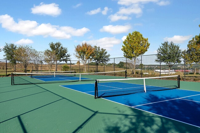 The Vineyards at Hammock Ridge apartments — community photo