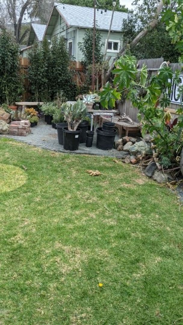 Photo - 2 bed 1 bath house with beautiful garden!